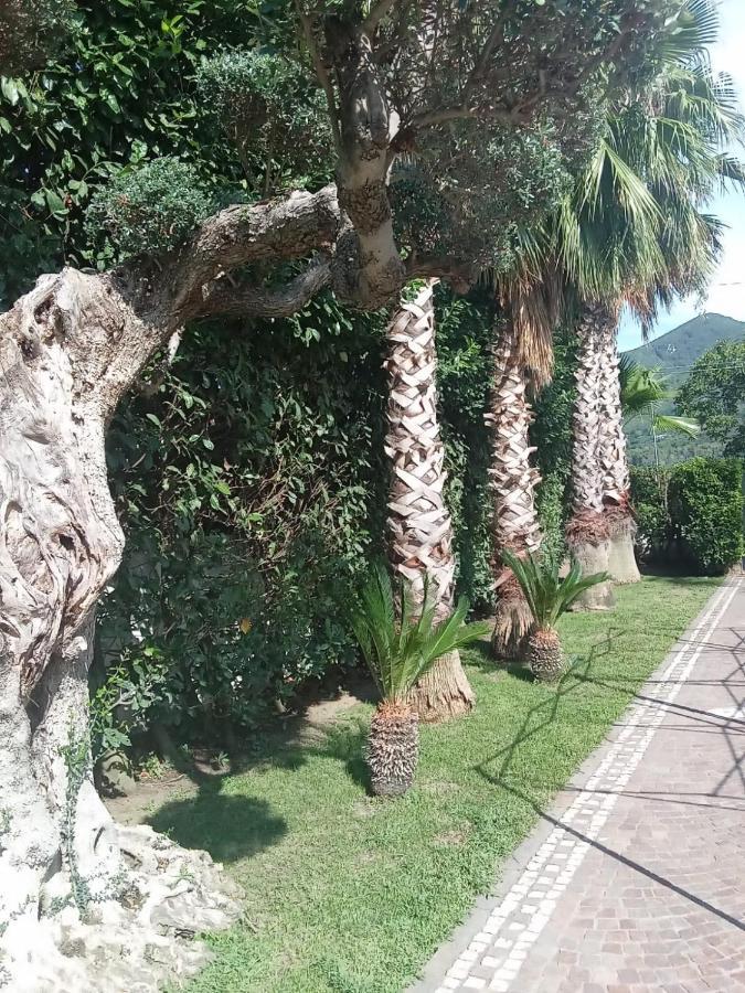 Villa Agata Forchia Bagian luar foto
