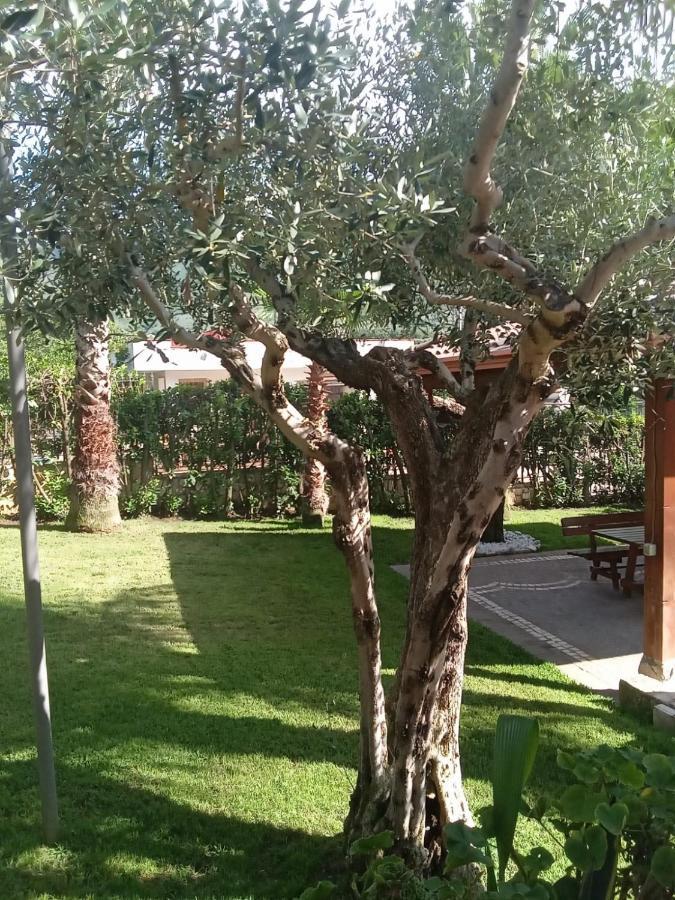 Villa Agata Forchia Bagian luar foto