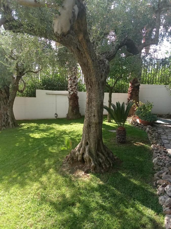 Villa Agata Forchia Bagian luar foto