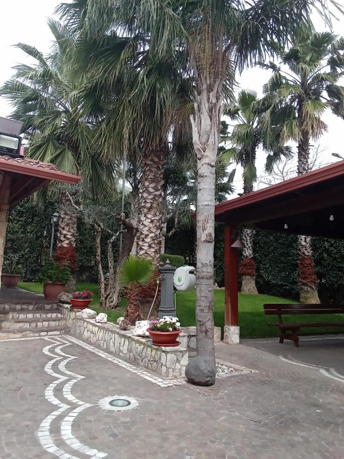 Villa Agata Forchia Bagian luar foto